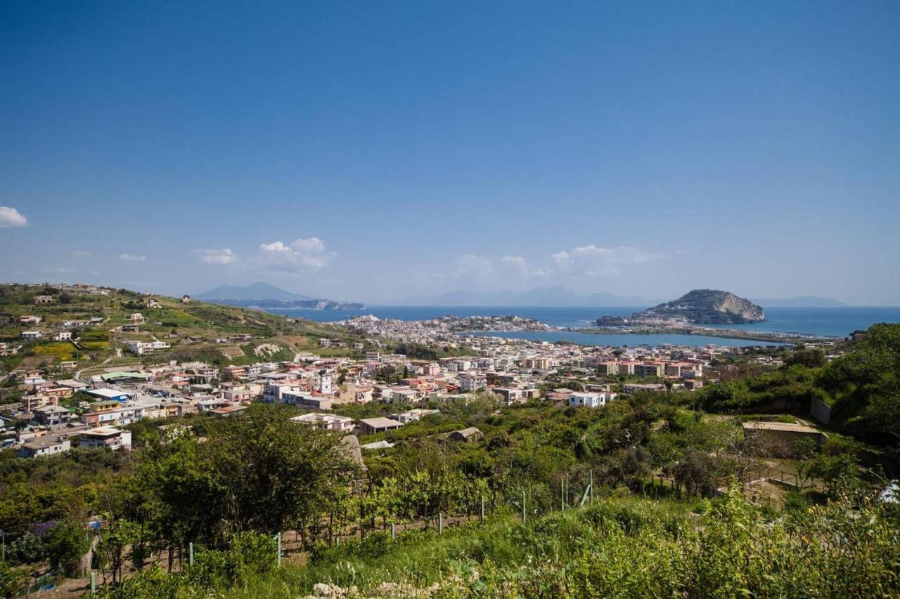 Villa Lamberti Monte di Procida Eksteriør bilde